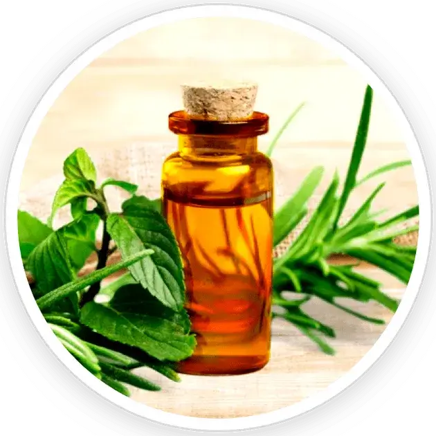 Tea Tree Oil